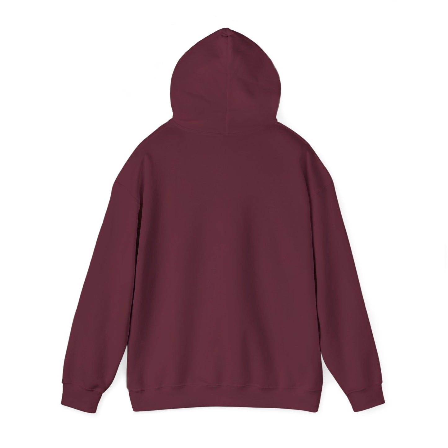 Vybes Racer Hoodie