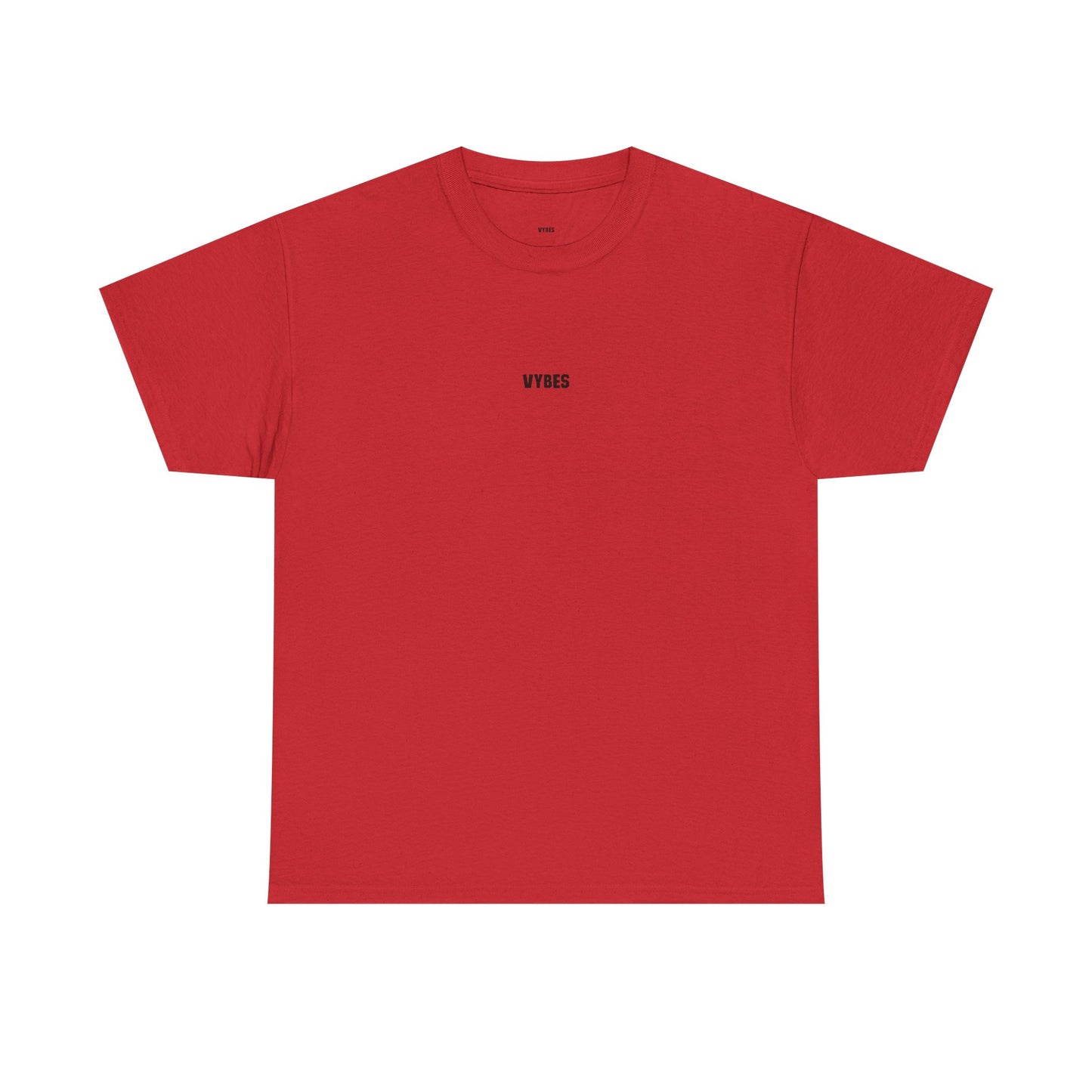 Don't be a Lady Tee