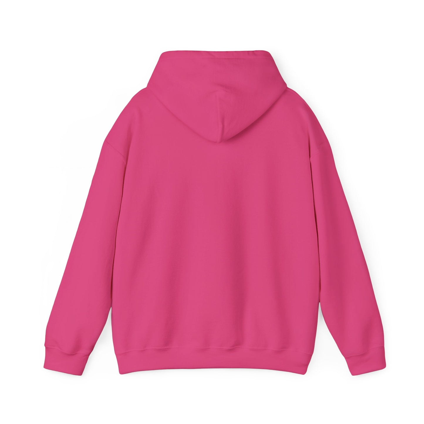 Vybes Racer Hoodie