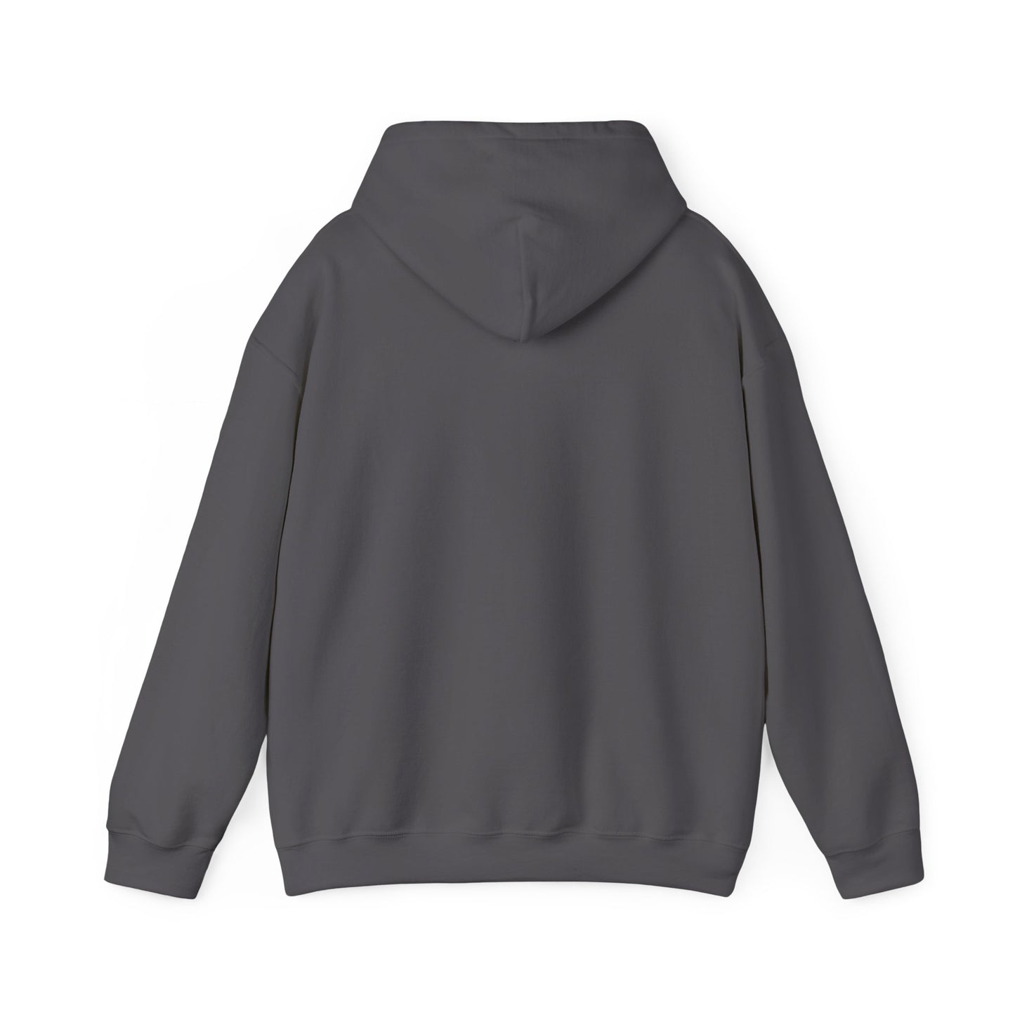 Vybes Racer Hoodie