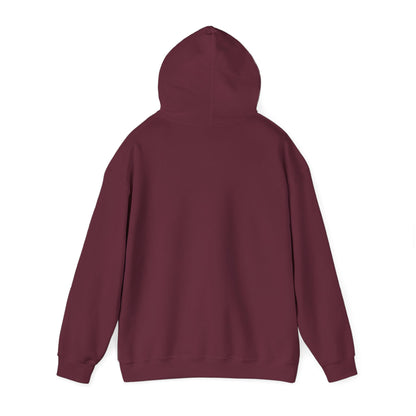 Vybes Racer Hoodie
