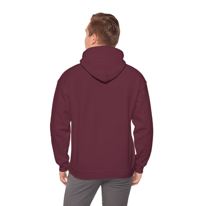 Vybes Racer Hoodie