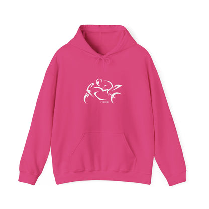 Vybes Racer Hoodie