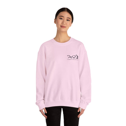 My Other Ride... Ladies Sweatshirt