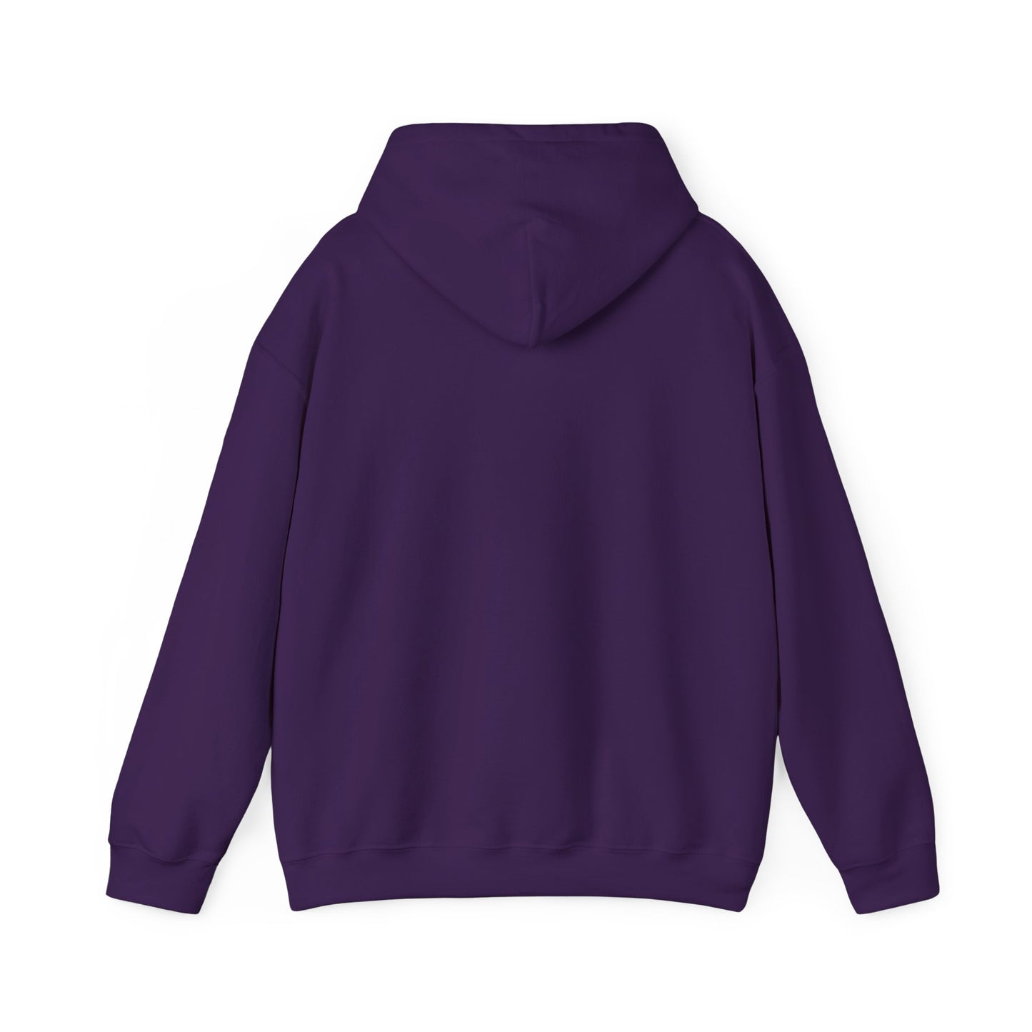Vybes Racer Hoodie