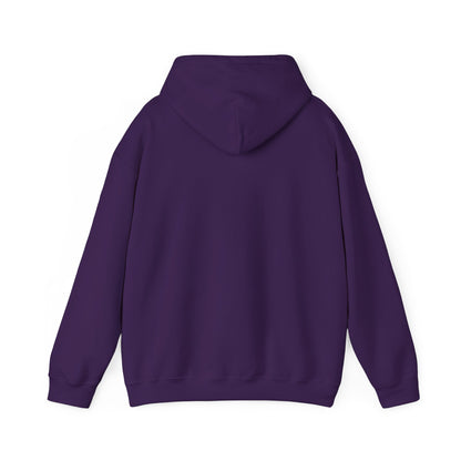 Vybes Racer Hoodie