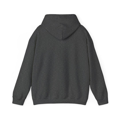 Vybes Racer Hoodie