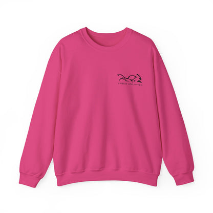 My Other Ride... Ladies Sweatshirt
