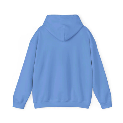 Travel Vybes Hoodie