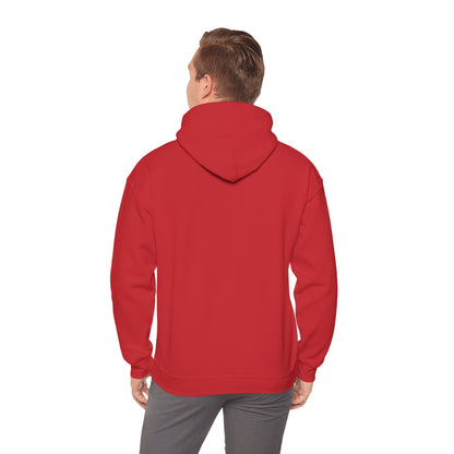 Vybes Racer Hoodie
