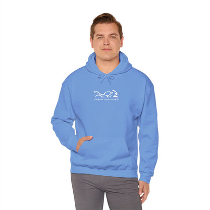 Free Rides Hoodie