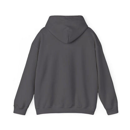 Vybes Racer Hoodie