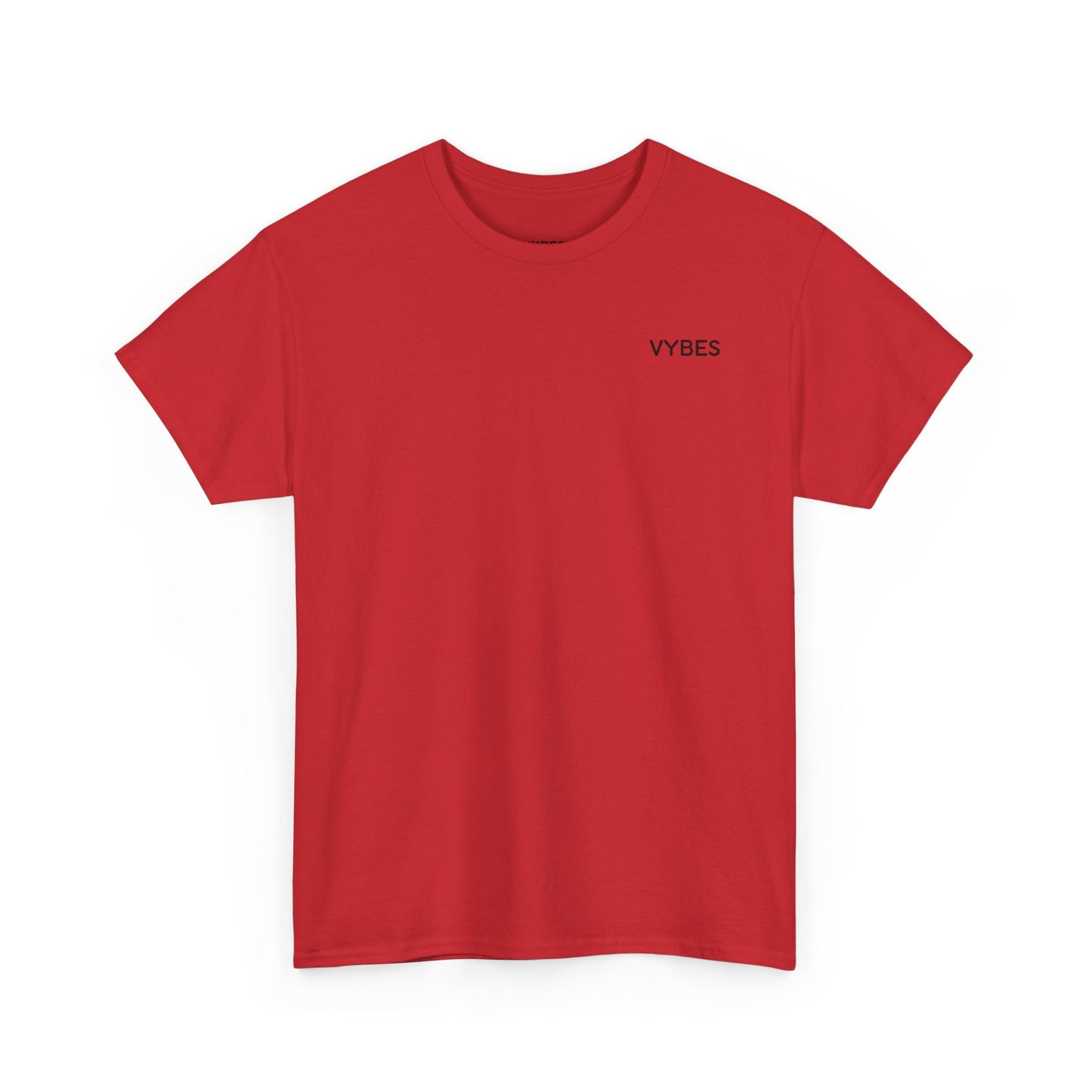 Don't be a Lady Tee