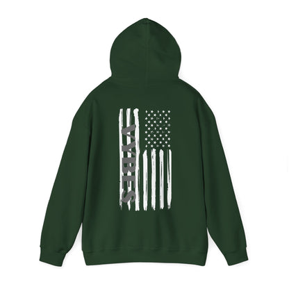 American Vybes Hoodie