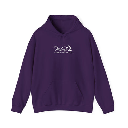 Free Rides Hoodie