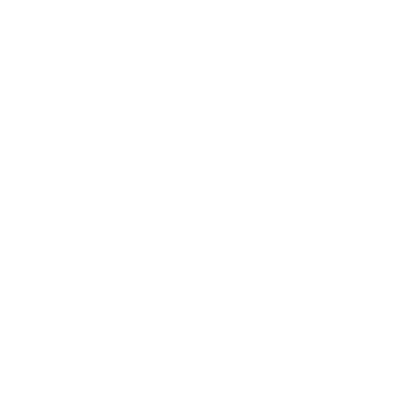 Vybes Unlimited